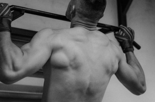 Back view of a shirtless man doing pull-ups, showcasing strength and fitness.